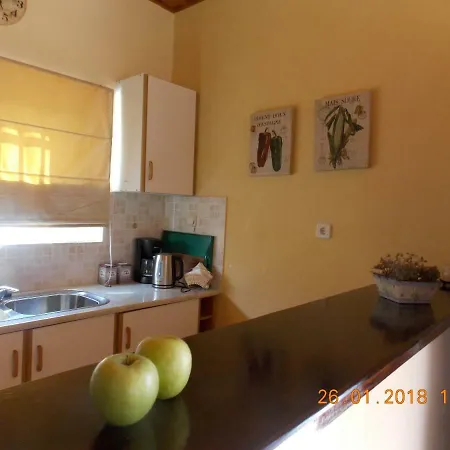 Dora's House